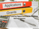 Grants and Funding Opportunities for Nigerian Entrepreneurs