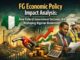 FG economic policy impact analysis